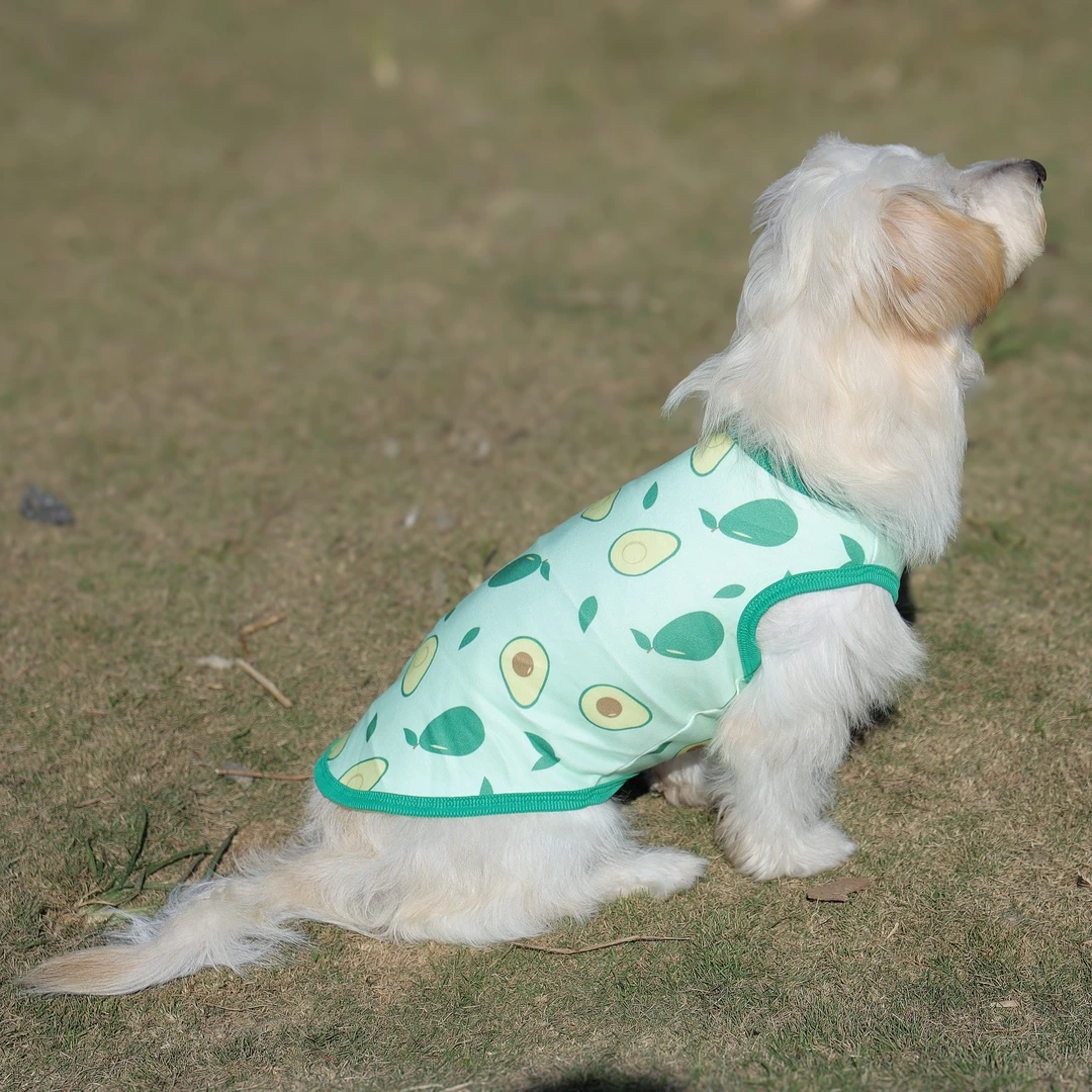 狗狗春秋款尺码大型犬柴犬不粘毛柯基小中型泰迪比熊猫咪宠物背心