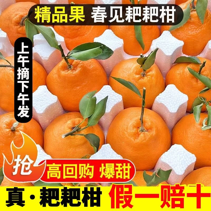 【东方薽选】超甜正宗四川春见耙耙柑橘子丑橘应季新鲜水果5-8斤