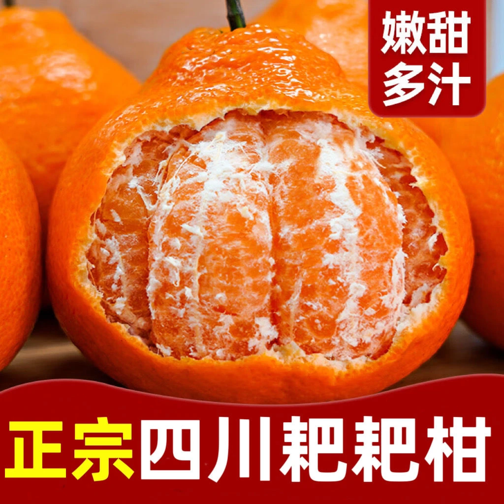 【东方薽选】四川正宗春见耙耙柑粑粑柑桔橘水果新鲜当季5-8斤