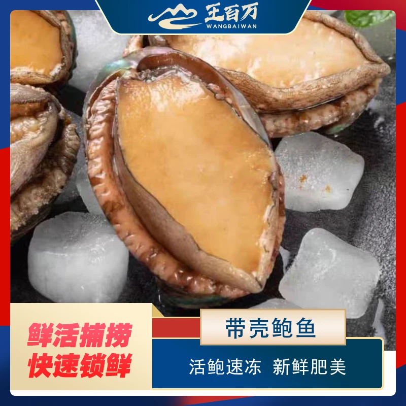 【王百万海鲜】带壳鲍鱼20个