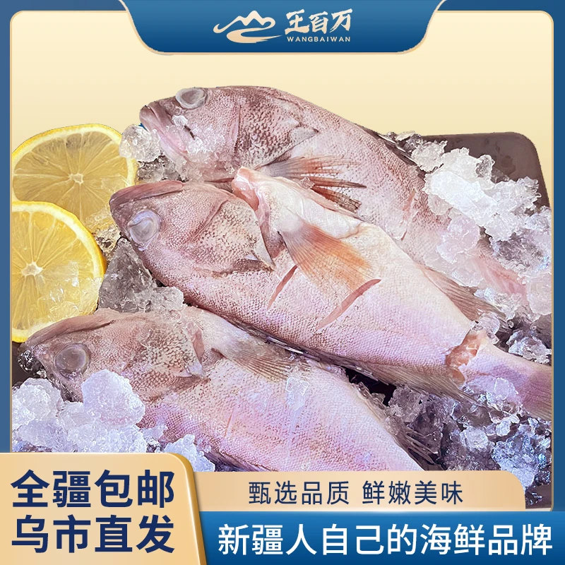 【王百万海鲜】只发新疆石斑鱼450克左右/袋营养速冻