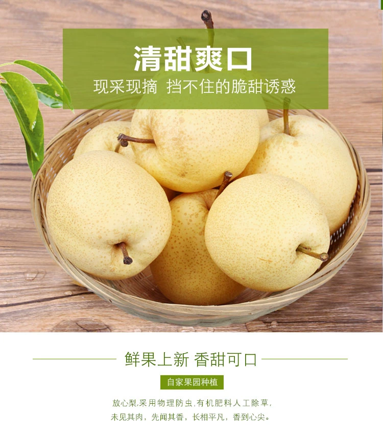 陕西山地酥梨酥脆多汁爽口皮薄肉厚当季新鲜水果9斤整箱