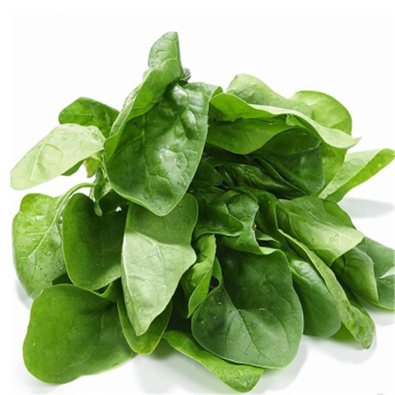 福利价开播啦！小时候的波菜