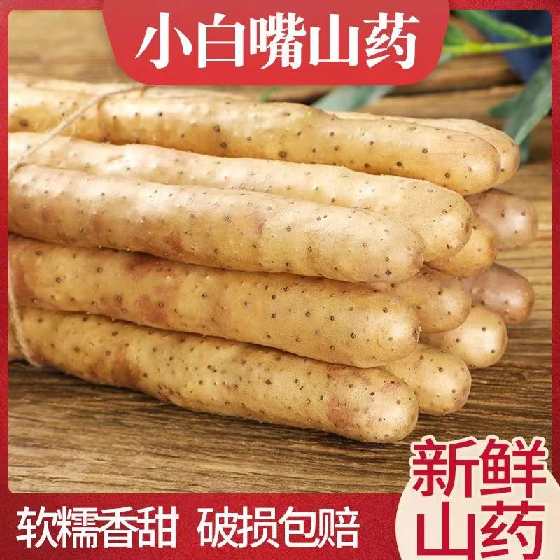 源头产地河北小白嘴铁棍淮山药粉糯香甜垆土种植新鲜5斤带土发货