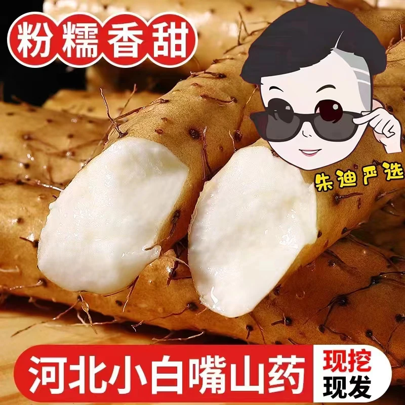 河北小白嘴铁棍淮山药粉糯香甜垆土种植新鲜5斤源头产地带土发货