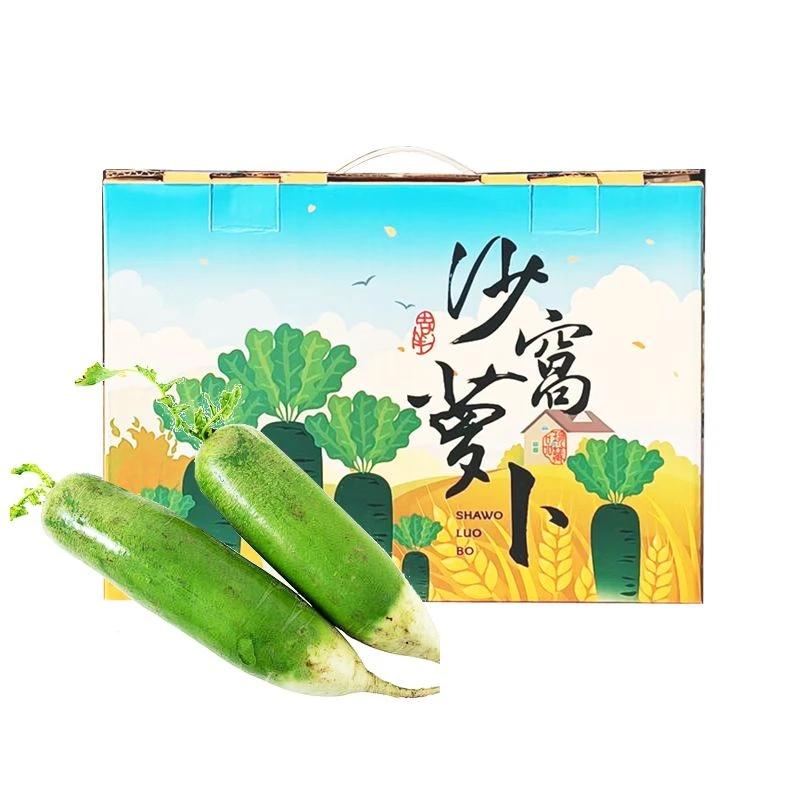 天津沙窝萝卜礼盒 4.5kg/盒