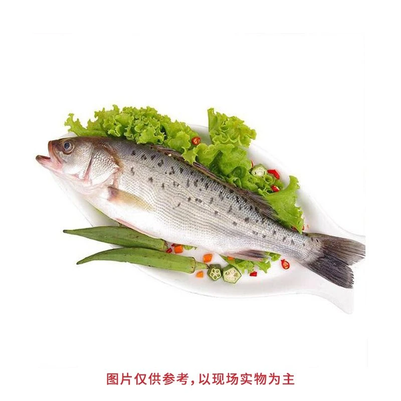 鲜海鲈鱼（冰鲜）（默认称重后宰杀）650g/条