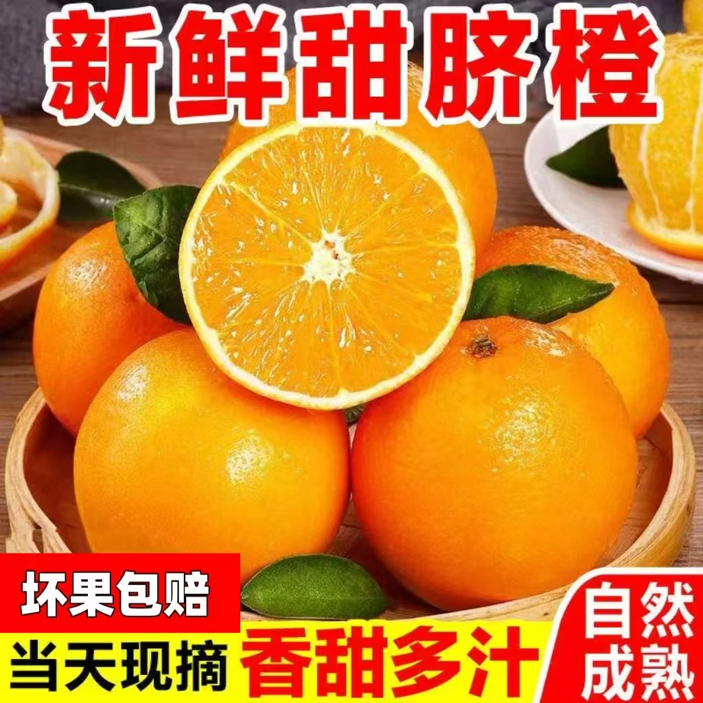 带箱9.5-10斤纽荷尔脐橙新鲜水果产地直发坏果包赔T1