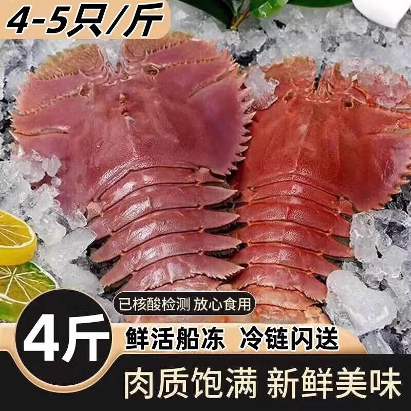 深海野捕琵琶虾特大鲜活冷冻新鲜海捕犀牛虾鲜海虾九尺虾3-4斤装