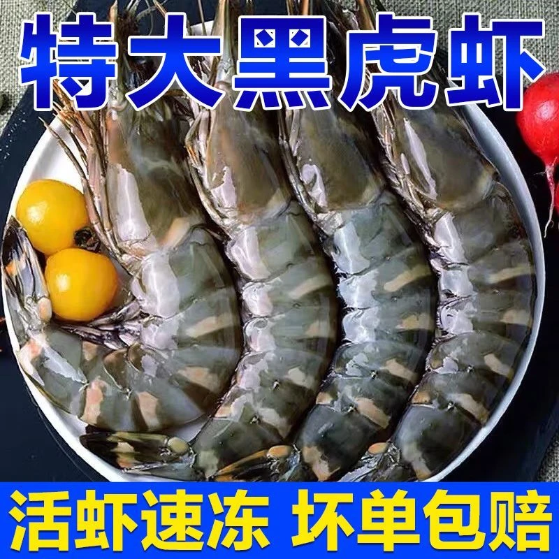 斑节虾基围虾黑虎虾大虾鲜活虾子新鲜特大号2030规格海鲜水产批发