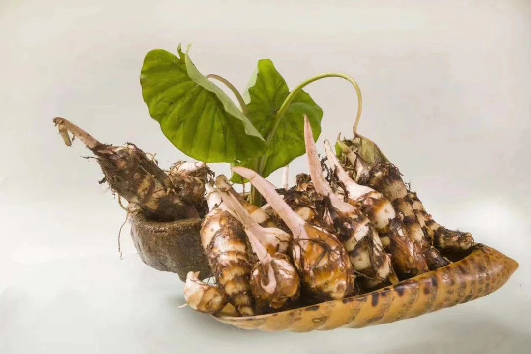 正宗海门香沙芋头新鲜粉糯美味芋艿包邮8斤装