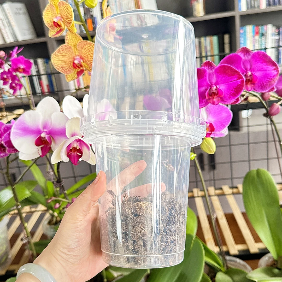 花花喜大王蝴蝶兰诱根降杯干湿养生根新手懒人绿植花卉养护组合装