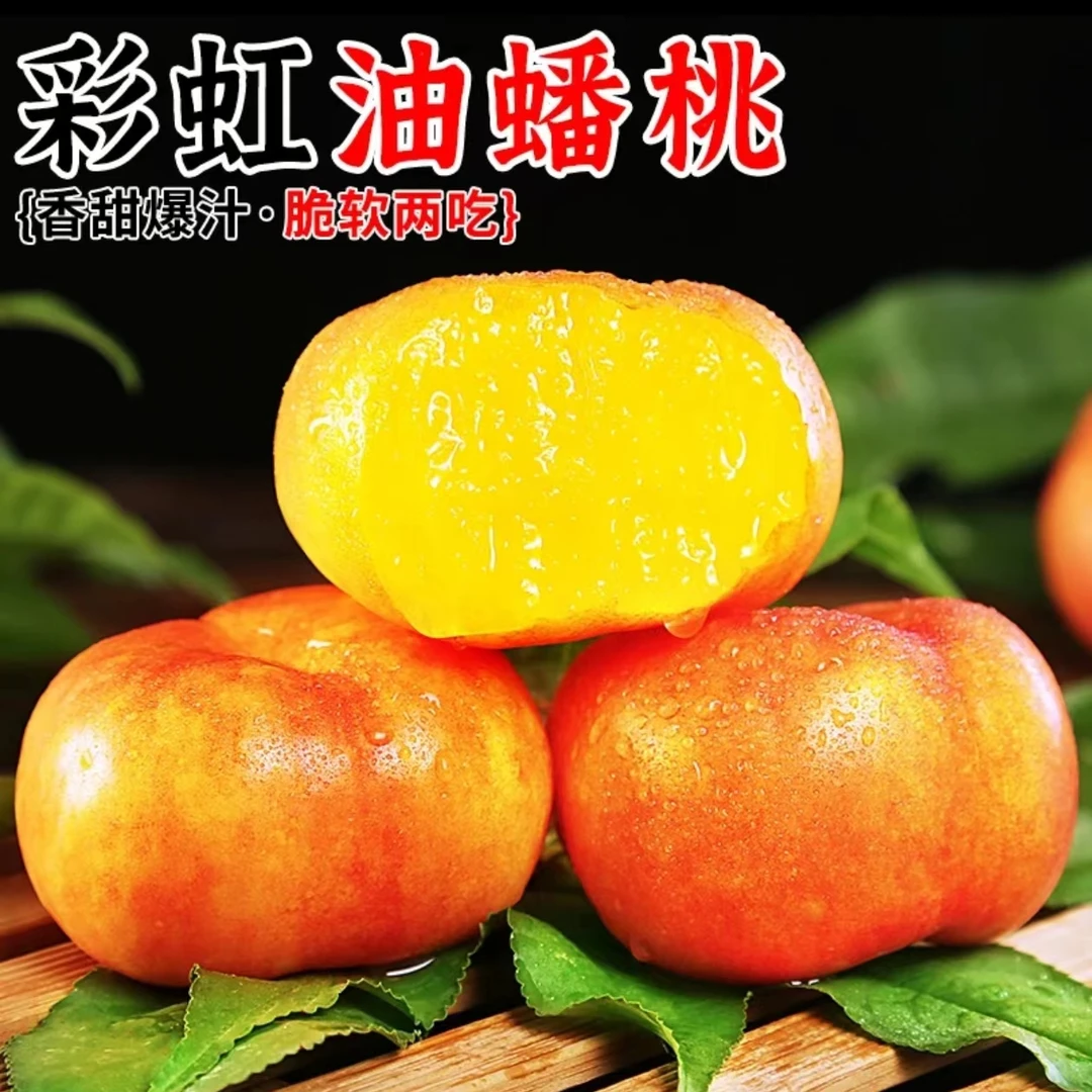 【果园直发】山东金霞彩虹油桃新鲜应季水果精选香甜爆汁京东包邮