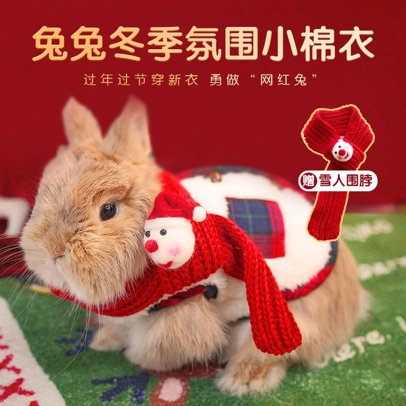 兔子衣服宠物秋冬过年潮流背心侏儒垂耳兔龙猫荷兰猪可爱保暖