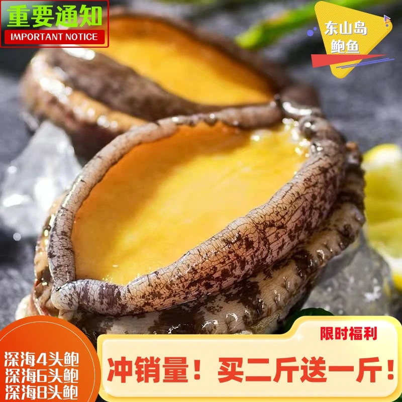 【买二斤送一斤!】东山岛渔民4-10头深海鲍鱼海鲜-活冻后发货