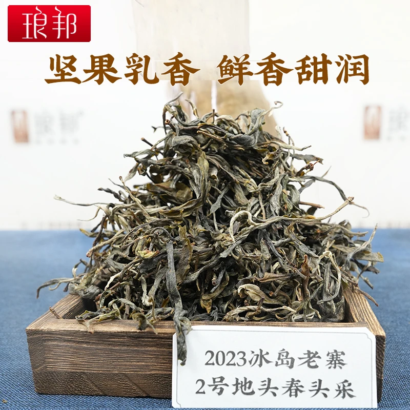 琅邦2023冰岛老寨2号地1000g头春头采古树挑采普洱茶生茶