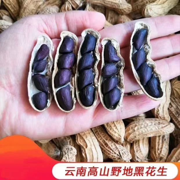 2025年新货正宗云南高原富硒黑花生营养丰富