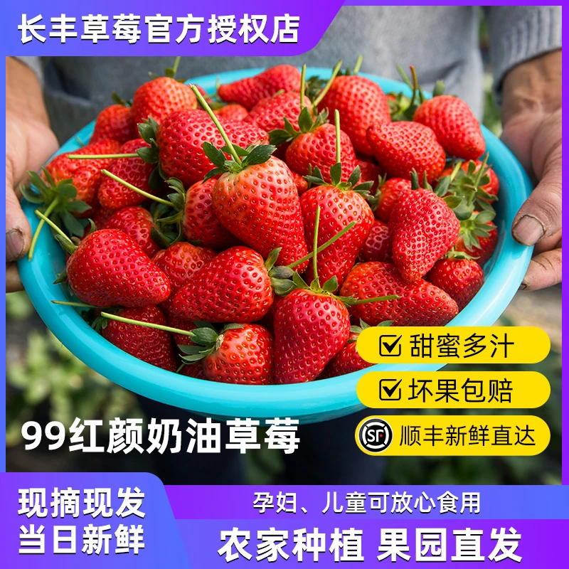 长丰草莓99草莓新鲜水果红颜奶油九九甜牛奶草莓大果礼盒非丹东