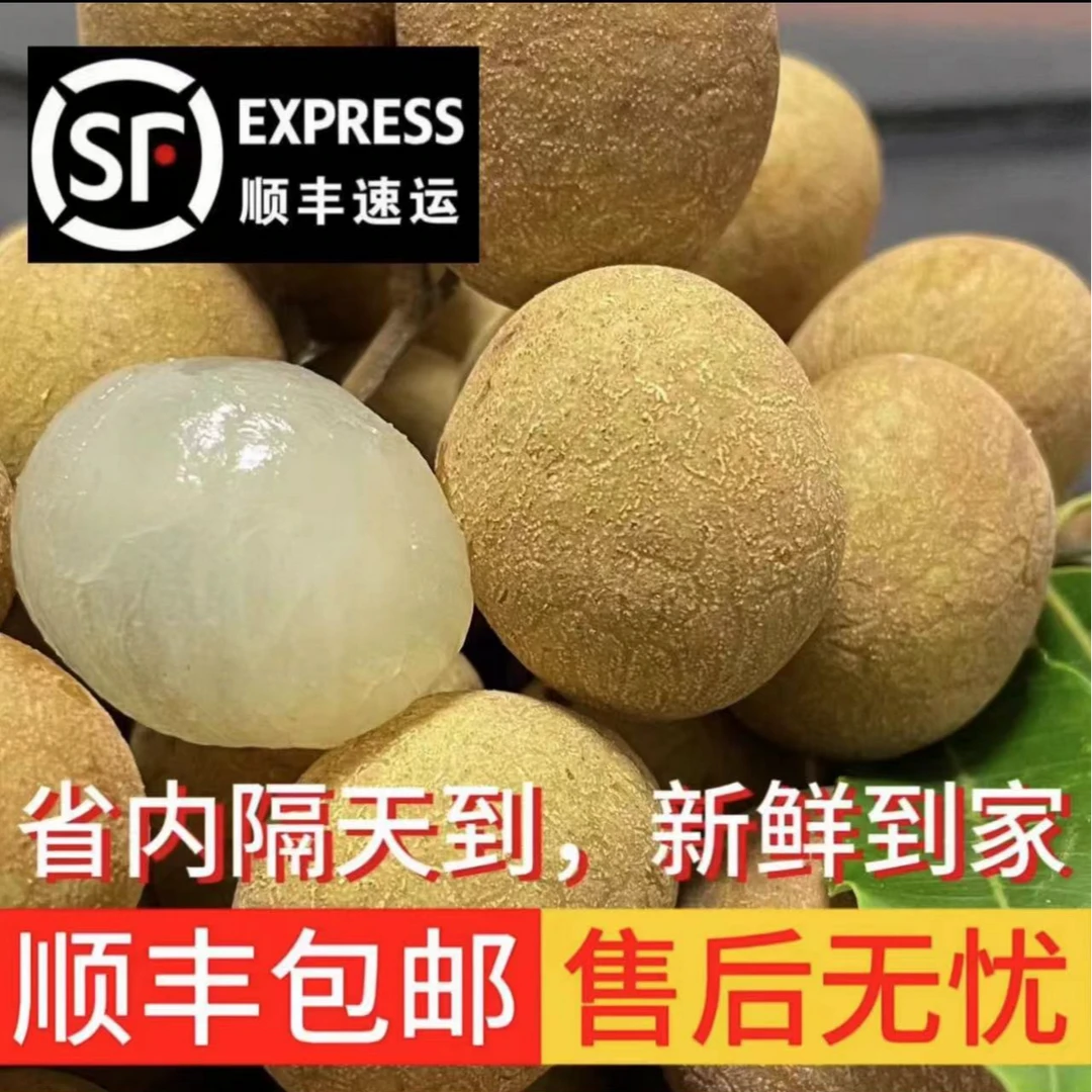 【小乔专属】储良龙眼茂名特大果精美现踩现摘