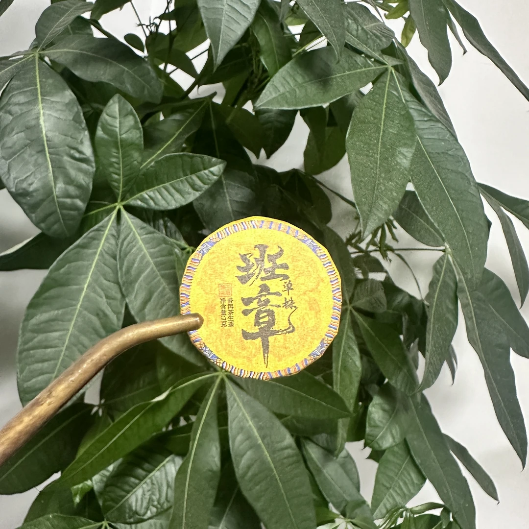 【财哥粉丝福利】2023年班章单株普洱生茶  7克/片   50片起拍