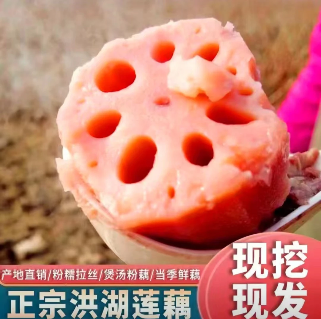 湖北粉藕【不粉包赔】洪湖粉藕面藕野藕湖藕红藕9孔粉藕糯米藕