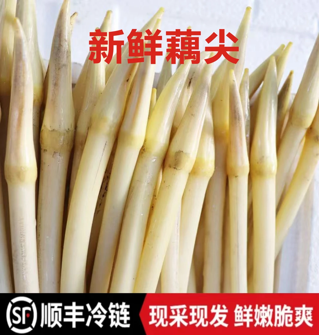 【顺丰包邮】洪湖新鲜藕带现摘藕尖当季时令蔬菜