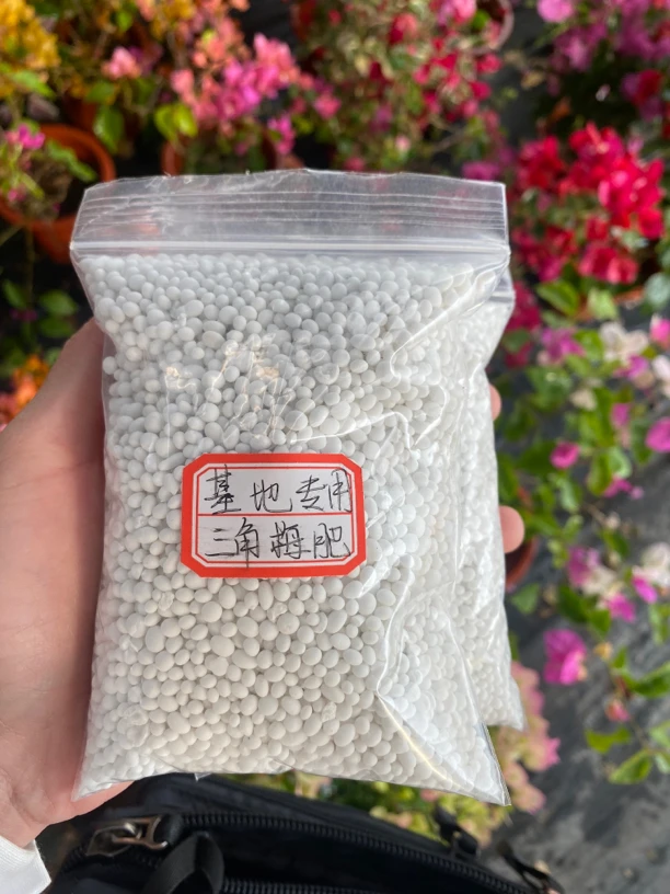 三角梅复合肥三角梅专用肥料促花长夜