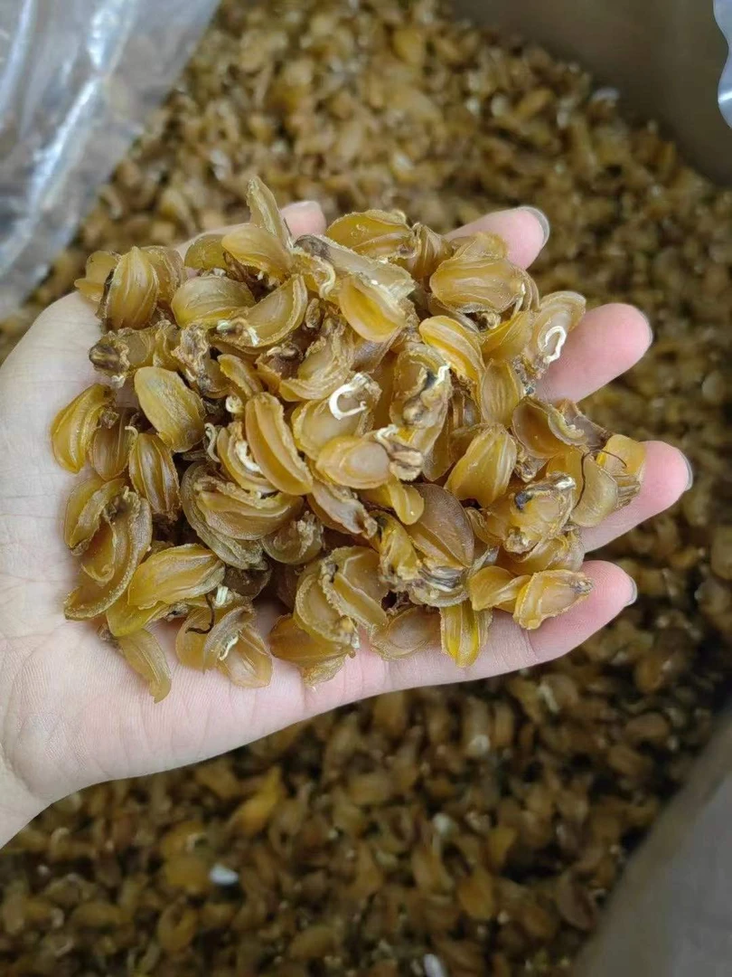 渔膳 小鲍鱼干煲汤煮粥100g-500g