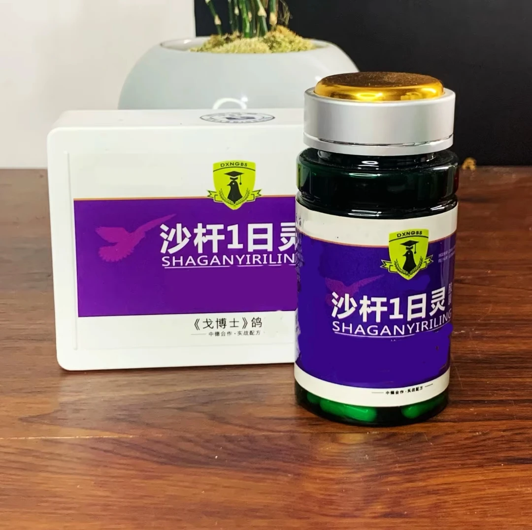 GBS 沙杆1日灵5g×8袋/60粒赛鸽信鸽营养品