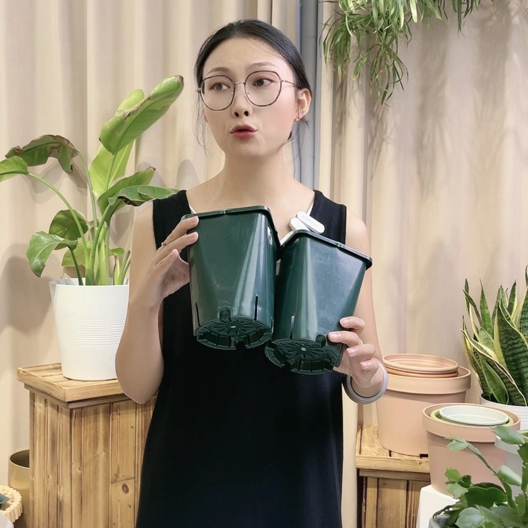 【闪购商品】树脂20CM（含）-50CM（不含）V12盆10个无拖微瑕随机