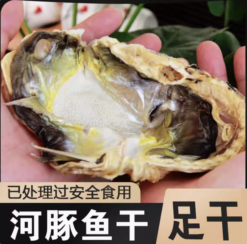 人工养殖河豚干鱼干乖脯鱼晒鱼干足干宰杀已处理无毒鸡泡高品质