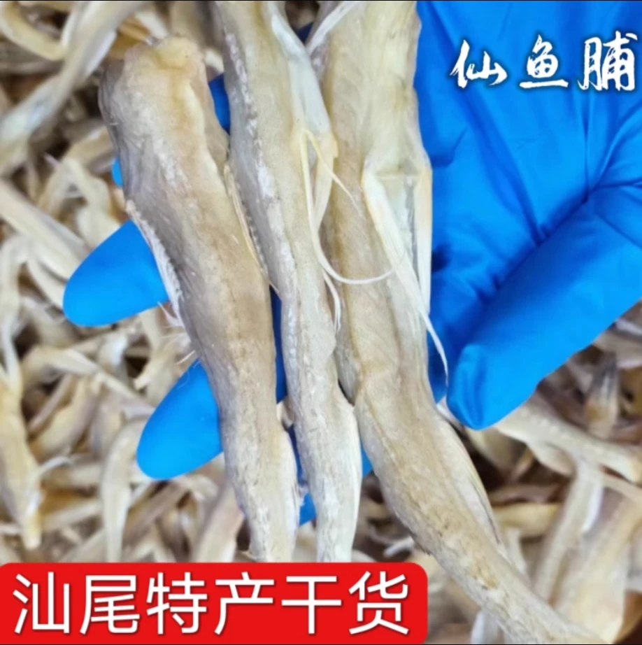 仙鱼脯自晒汕尾特产 九肚鱼干 龙头鱼 豆腐鱼 风干小鱼干500G