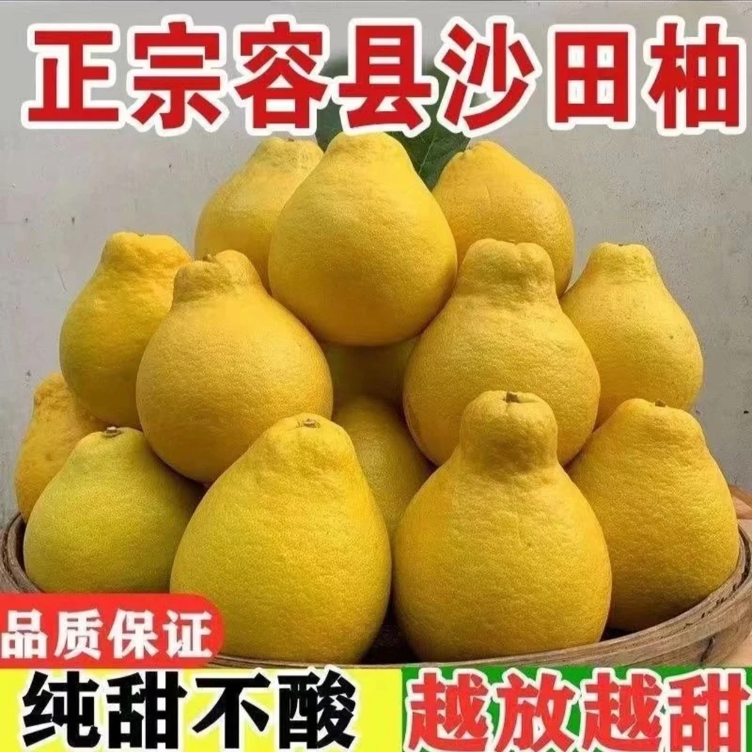 优胜奖25年老树果广西容县自良沙田柚正宗容县沙田柚纯甜无酸