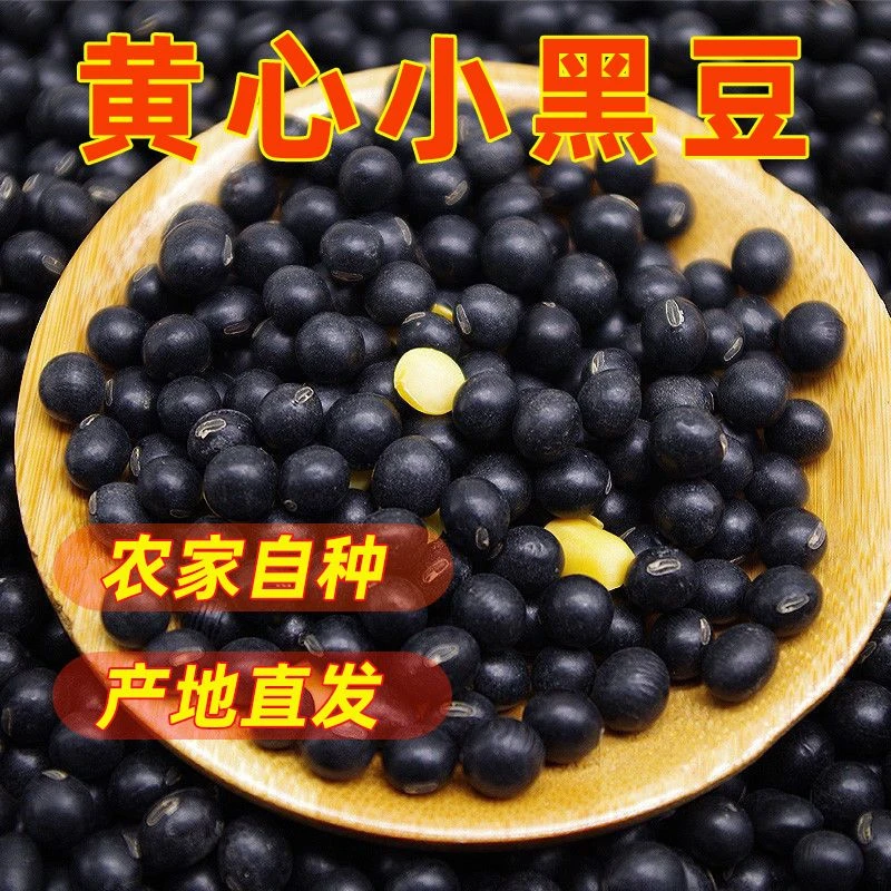 云南黑豆黄心农家老品种打豆浆发豆芽打豆腐五谷杂粮黄心黑豆B11