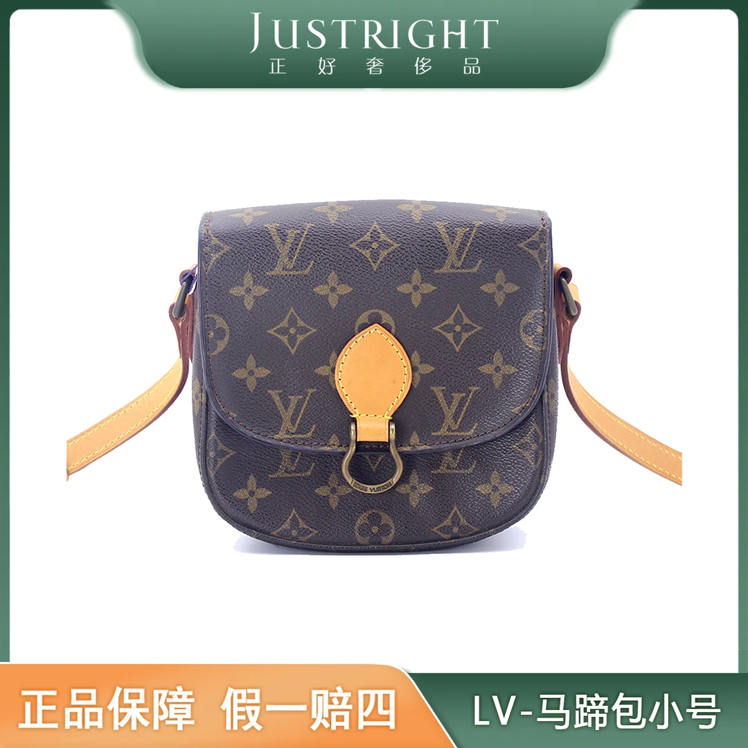 95新 LouisVuitton/路易威登 马蹄包小号/经典时尚/后换植鞣革