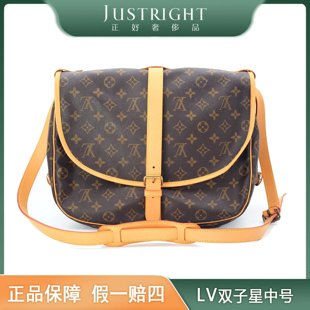 95新 LouisVuitton/路易威登 LV双子星中号/时尚能装/植鞣革后换