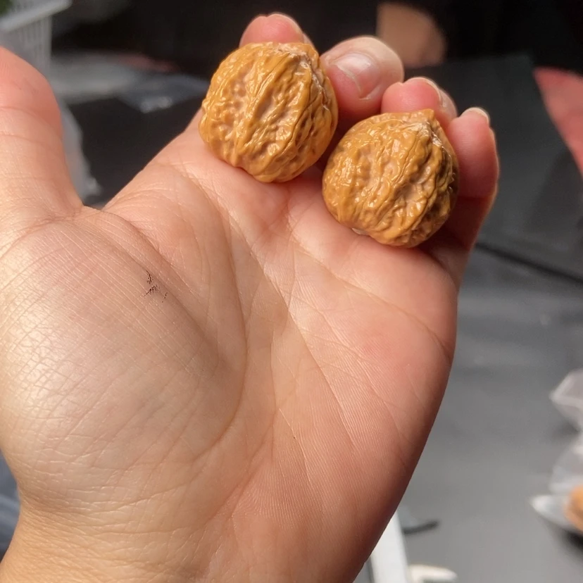 【闪购商品】文玩核桃把件052