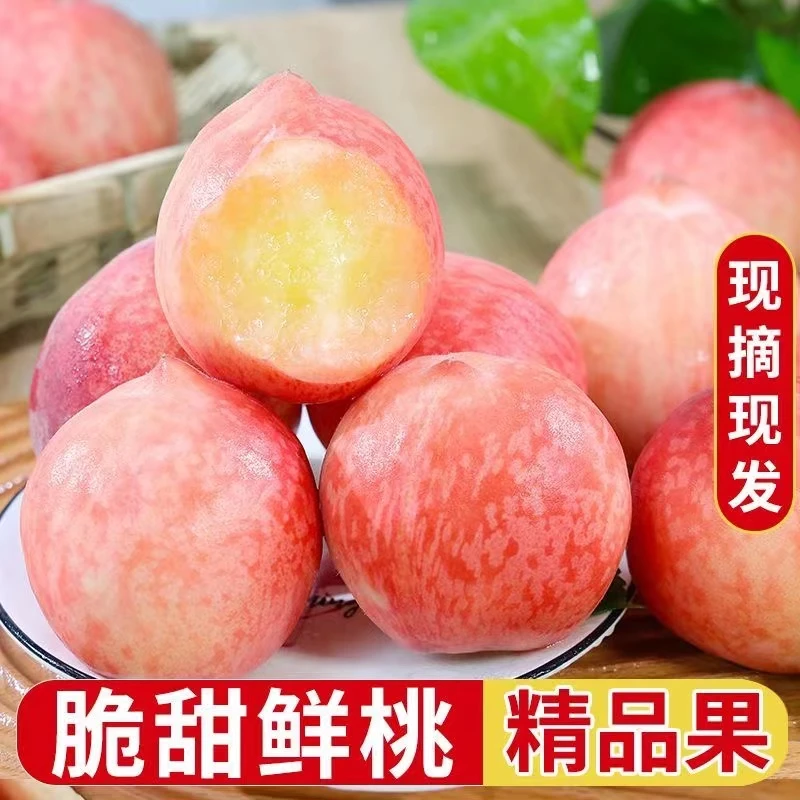 山西运城新鲜采摘水蜜桃脆甜营养应季毛桃带箱5斤