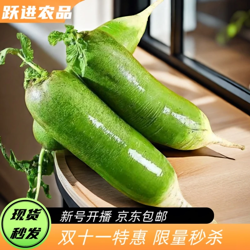 天津本地老味儿水果萝卜