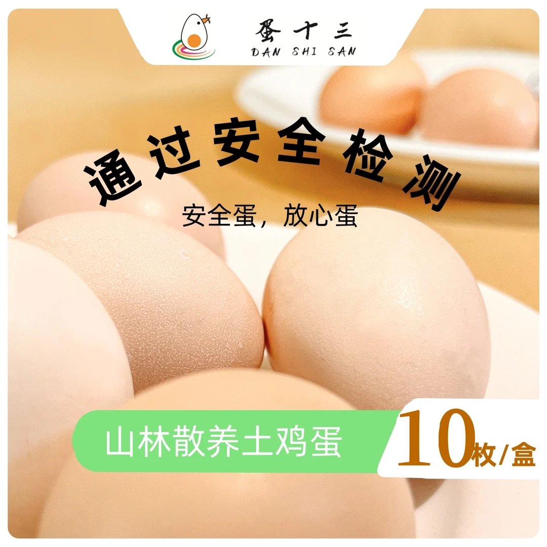 蛋十三| 山林散养土鸡蛋10枚福利品鉴款儿童可放心营养安全早餐