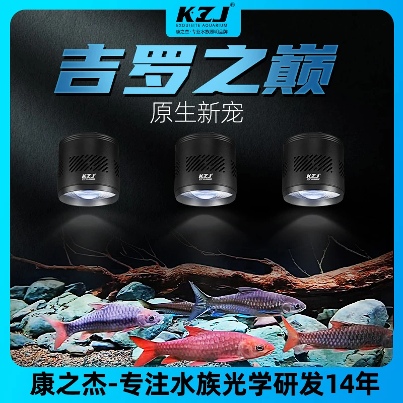 康之杰LED吉罗之巅原生版/增艳版新宠吉罗玩家专用筒灯