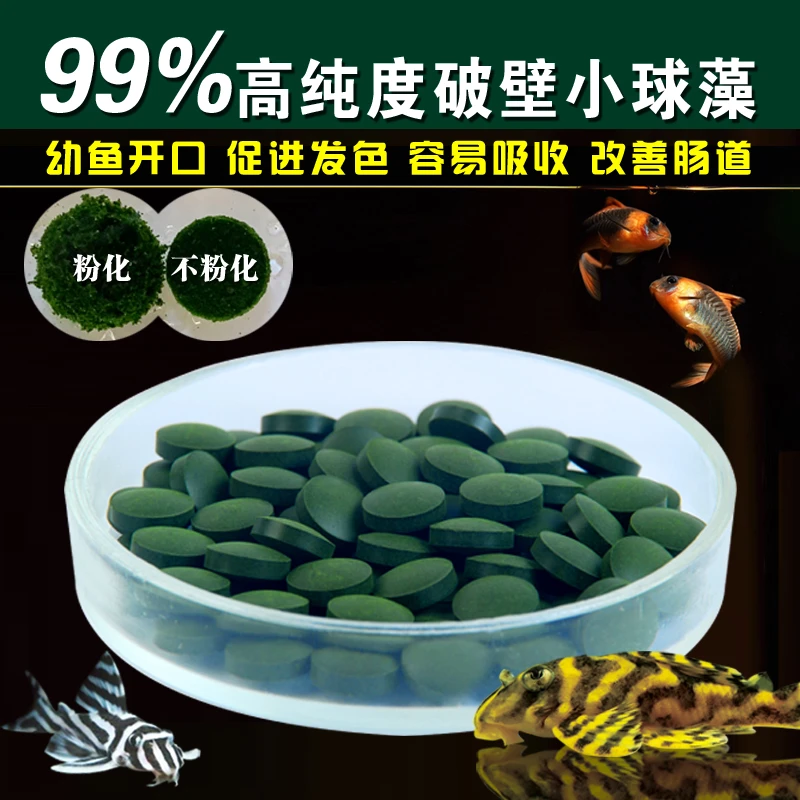 破壁小球藻饲料螺旋藻素食胡子大帆异型鱼熊猫迷宫鼠鱼苗开口鱼食