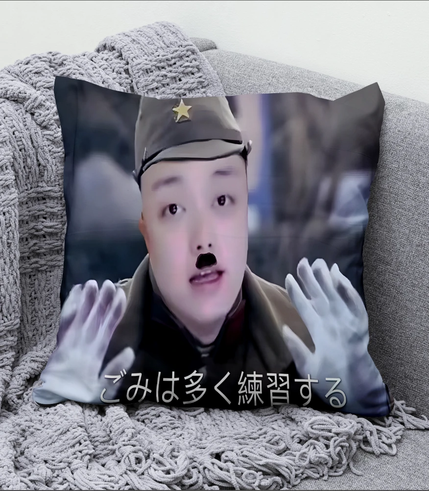 菜就多练个性抽象沙发抱枕创意双面学生可爱垫枕博物馆女孩情侣