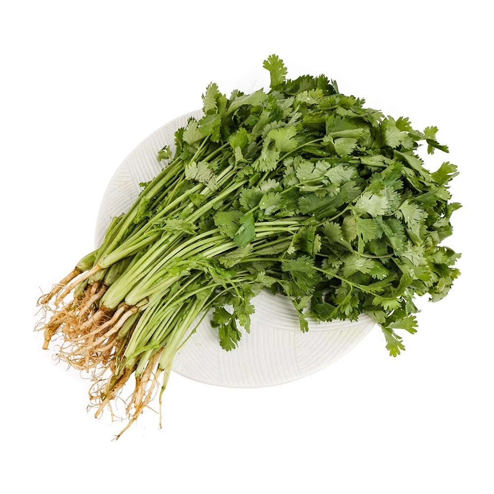 【小时达】香菜 100g