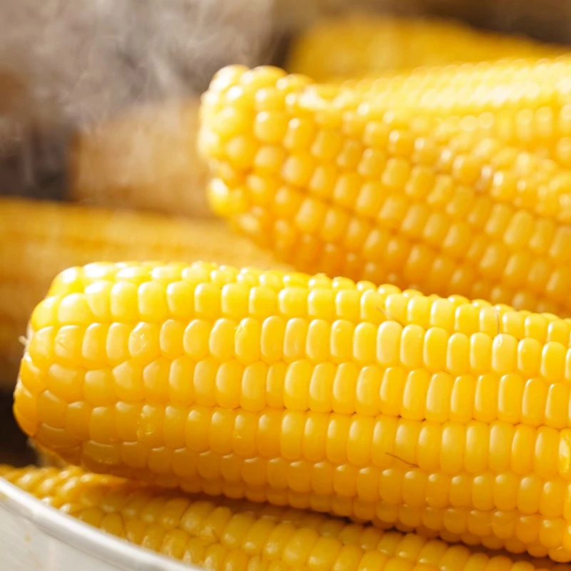 玉米东北糯发货玉米新鲜粘甜玉米真空包装加热即食厂家直销250g