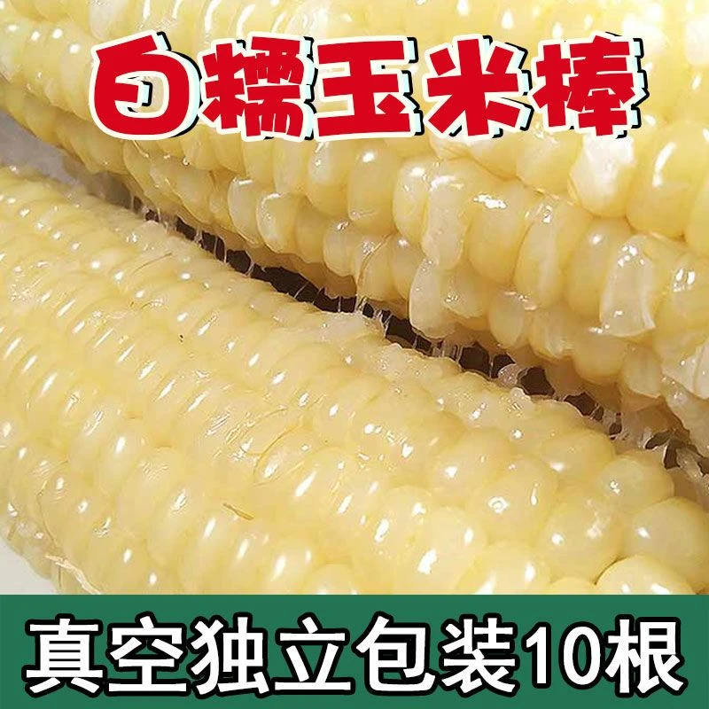 黑龙江白糯玉米东北糯玉米玉米棒批发白黏玉米粗粮代餐早餐220g