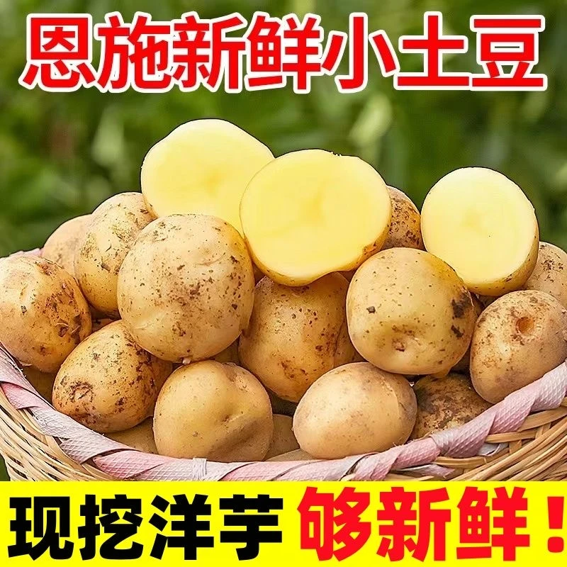 恩施富硒黄心小土豆新鲜现挖高山洋芋粉糯马铃薯自种蔬菜3/5/9斤