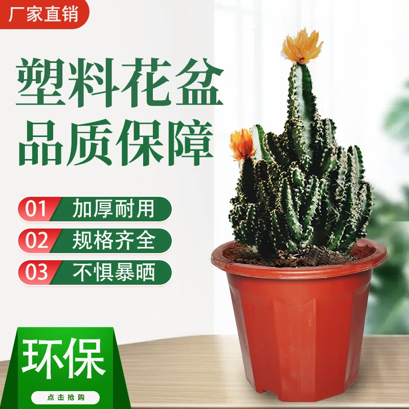 塑料花盆厂家直销加厚耐用大小号自吸育苗盆简约家用种植花盆养殖