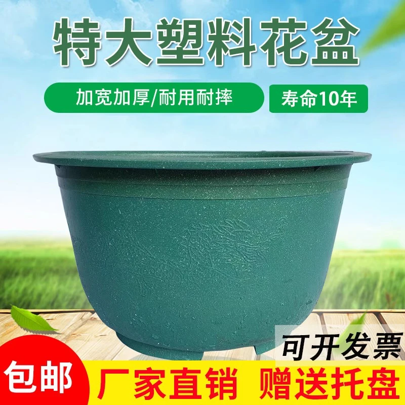 清仓包邮塑料花盆特大庭院种植果树盆景盆大码龙缸盆荷花盆大口径