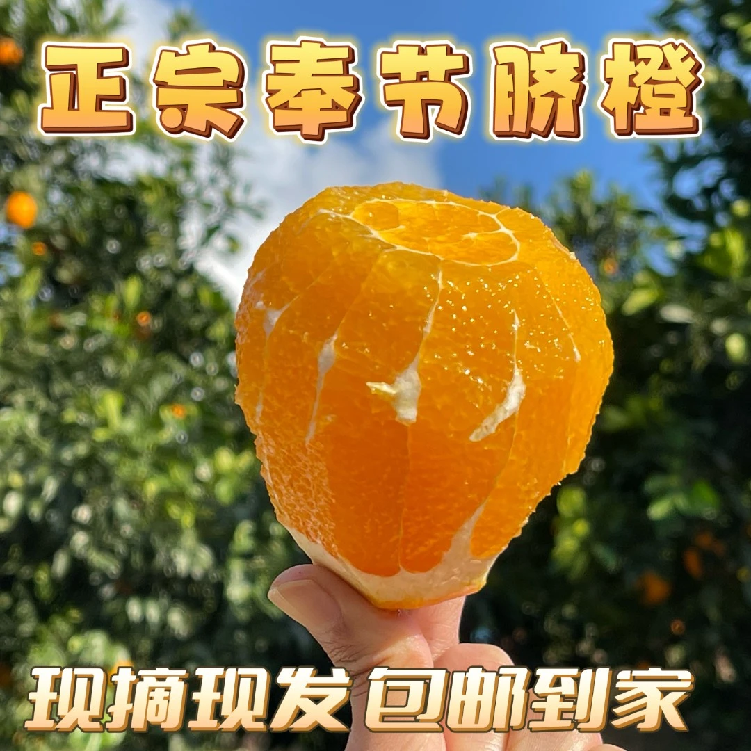 1正宗奉节脐橙 新鲜采摘 产地直发 5/10/20斤 非赣南脐橙爆甜多汁